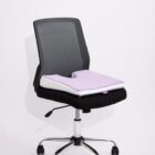 ICARE COCCYX CUSHION ON OFFICE CHAIR